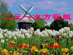 标题：二元一次方程组
										 学校：未知
										 讲师：崔莉  