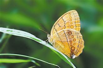 标题：走进科学
										 学校：绍兴市第一初级中学教育集团
										 讲师：肖荣荣   
